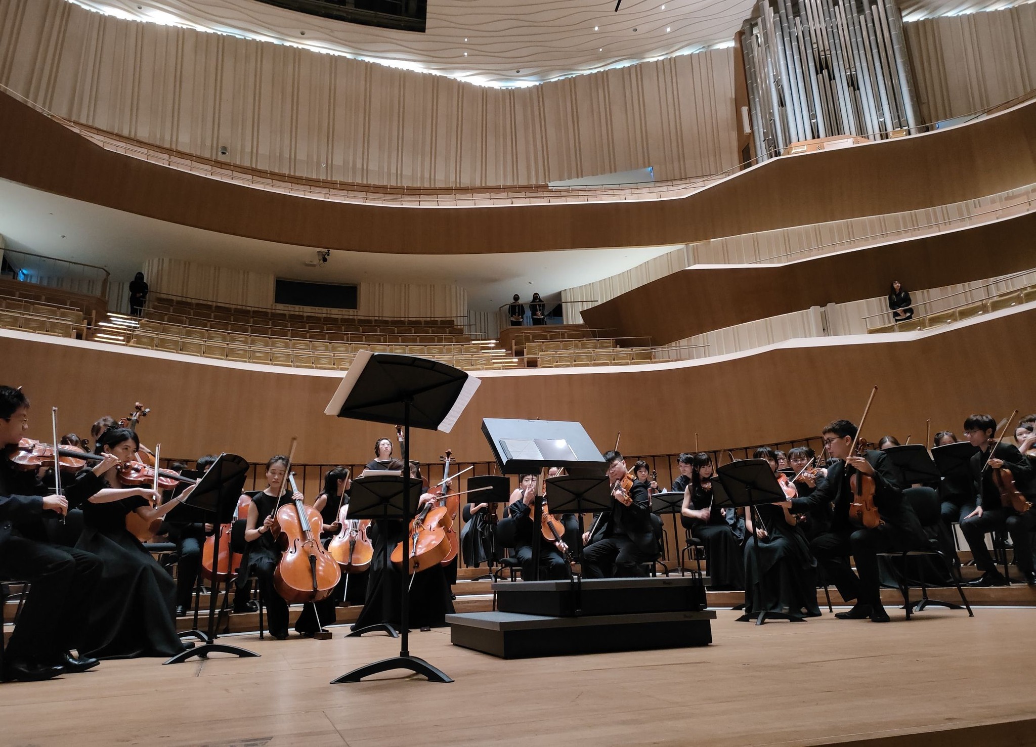 布萊梅弦樂團於衛武營國家藝術文化中心音樂廳舉辦「家庭之愛公益音樂會」